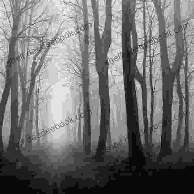 A Landscape Of A Dark Forest With Gnarled Trees And A Dim Path Winding Through In The Dark Corner I Stood Alone
