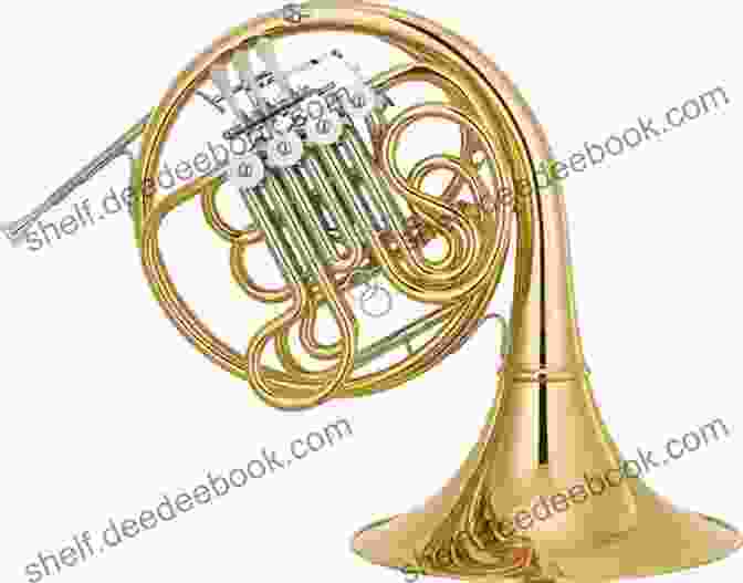 A Photograph Of A French Horn And Piano On A Music Stand 10 Romantic Pieces Easy For French Horn And Piano