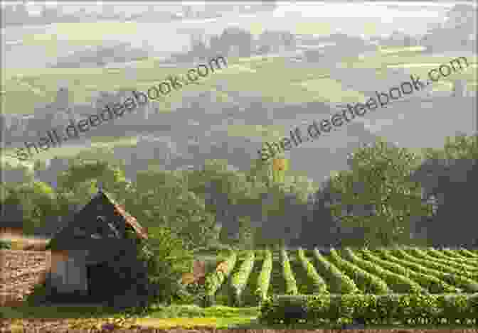 A Picturesque View Of The Rolling Hills And Vineyards Of The French Countryside The French Adventure: Escape To France With This Heartwarming Feel Good Romance