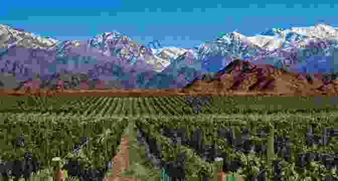 A Vineyard In Mendoza, Showcasing The Lush Green Vines And Majestic Andes Mountains In The Backdrop. Taste Of Argentina: A Food Travel Guide