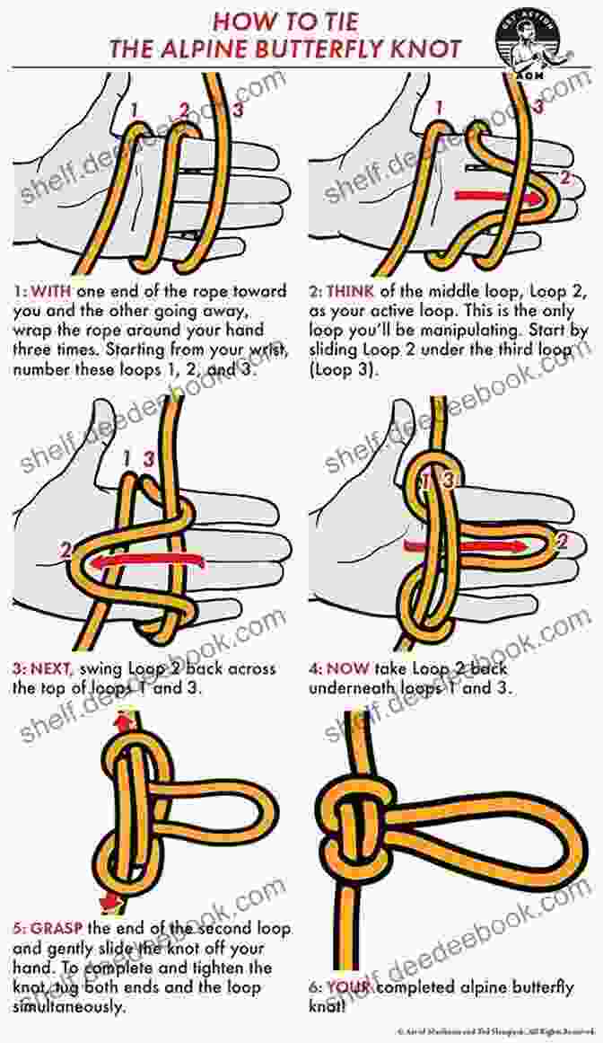 Alpine Butterfly Knot Knots And How To Tie Them