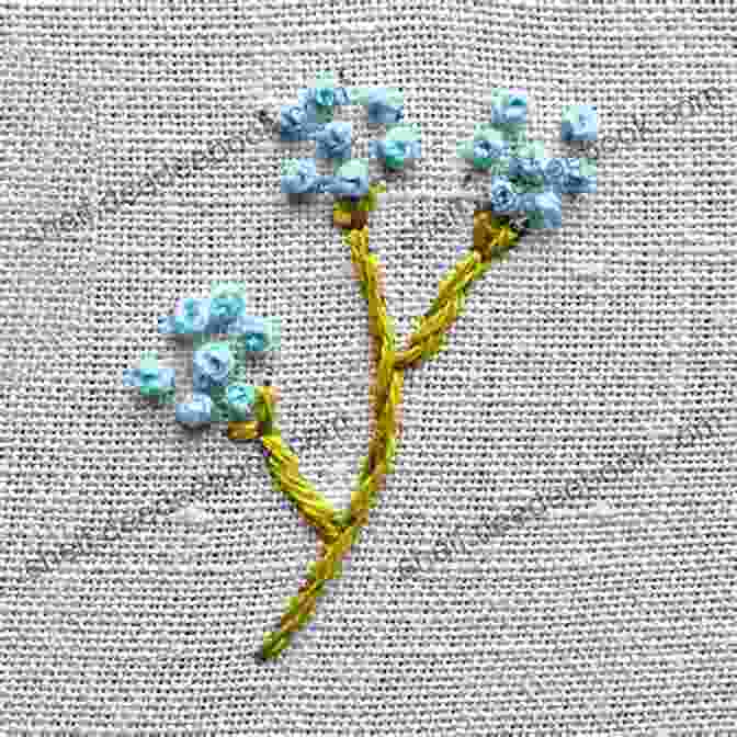 An Assortment Of Embroidered French Knots, Each Resembling A Tiny Raised Bead Hand Embroidery Patterns: Simple And Detail Hand Embroidery Ideas Beginners Can Try: Hand Embroidery Tutorials