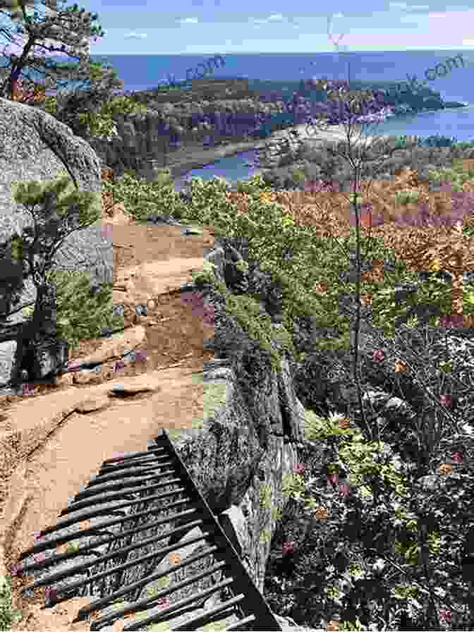 Beech Hill Trail In Acadia National Park Family Friendly Hikes In Maine