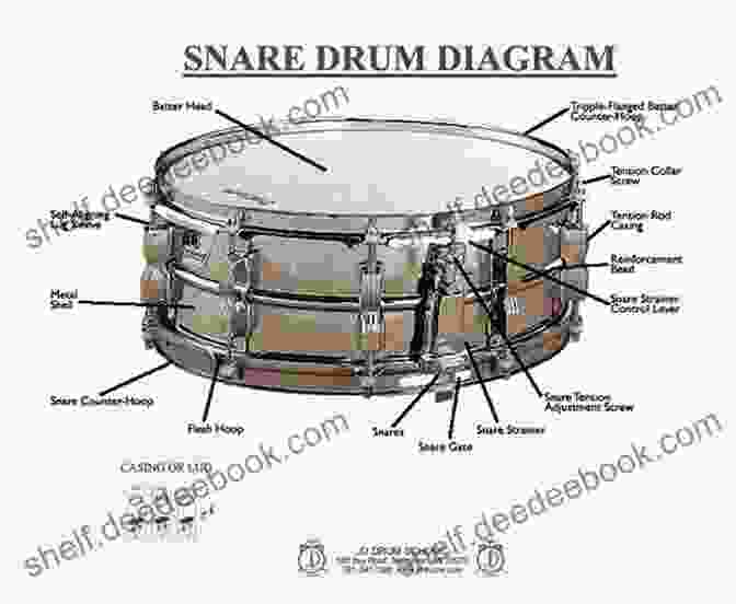 Diagram Of A Double Bass Drumming Snare Drum Exercise Essential Snare Drum Exercises