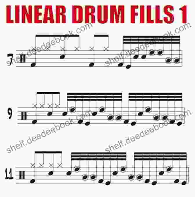 Diagram Of A Linear Fills Snare Drum Exercise Essential Snare Drum Exercises