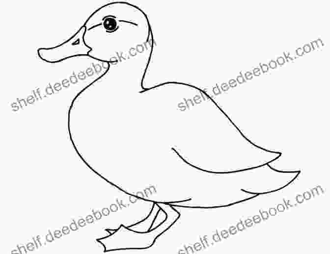 Elza Duck And Friends Coloring Printable Pages Elza Duck And Friends Coloring