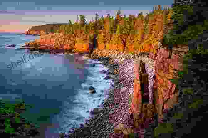 Ocean Path Trail In Acadia National Park Family Friendly Hikes In Maine