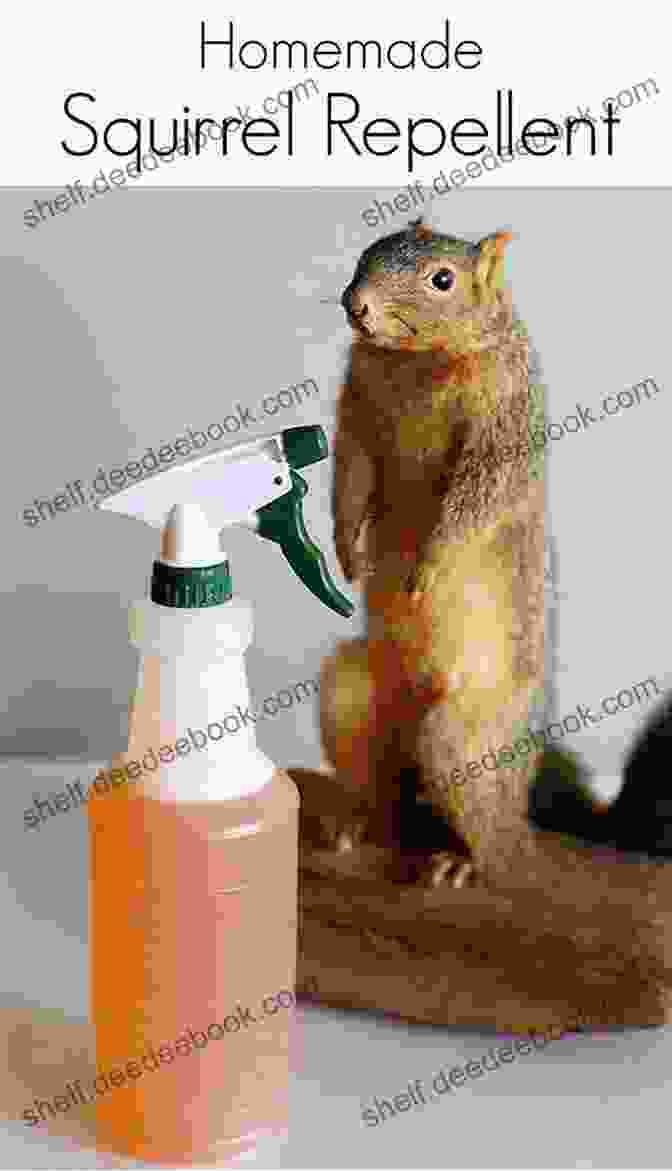 Sammy The Squirrel Watering A Lush Vegetable Garden Filled With Vibrant Tomatoes, Crisp Cucumbers, And Leafy Greens Sammy Spinach: Sammy Grows Big Strong (Happy Garden Happy Veggies EBook 5)