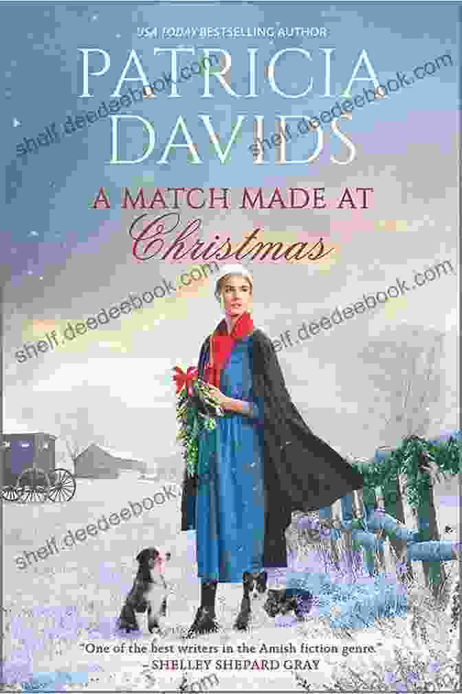 The Christmas Rose By Patricia Davids Shows An Amish Woman Holding A Lantern, Standing In Front Of A Snowy Barn With A Horse And Buggy. Beloved Brides Collection 14 Box Set