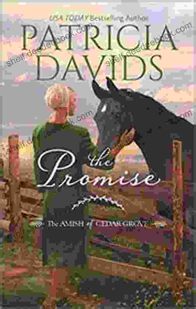The Valley Of Promise By Patricia Davids Depicts An Amish Woman Sitting On A Fence, Overlooking A Valley With A Church In The Distance. Beloved Brides Collection 14 Box Set