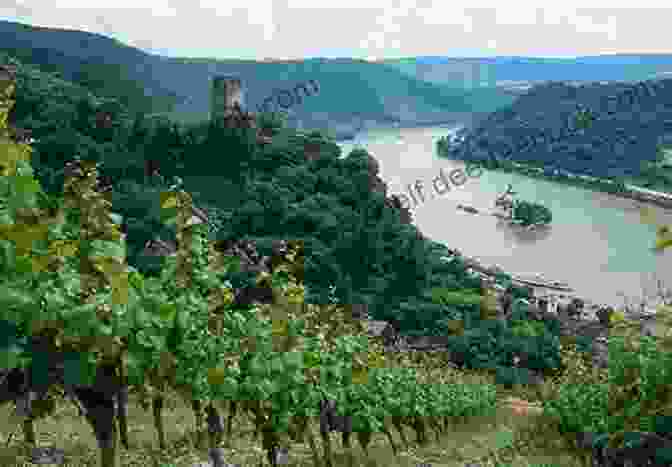 Vineyards And Villages Along The Moselle River Germany Travel Guide Lars Jonsson