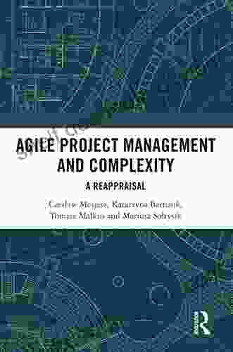 Agile Project Management And Complexity: A Reappraisal