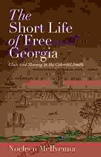 The Short Life Of Free Georgia: Class And Slavery In The Colonial South