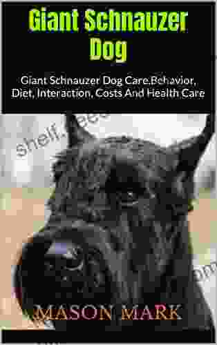 Giant Schnauzer Dog : Giant Schnauzer Dog Care Behavior Diet Interaction Costs And Health Care