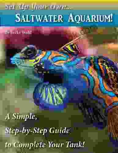 Set Up Your Own Saltwater Aquarium