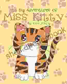 The Big Adventures Of Miss Kitty