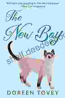 The New Boy (Feline Frolics 5)