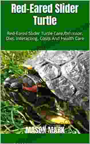 Red Eared Slider Turtle : Red Eared Slider Turtle Care Behavior Diet Interacting Costs And Health Care