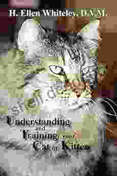 Understanding And Training Your Cat Or Kitten