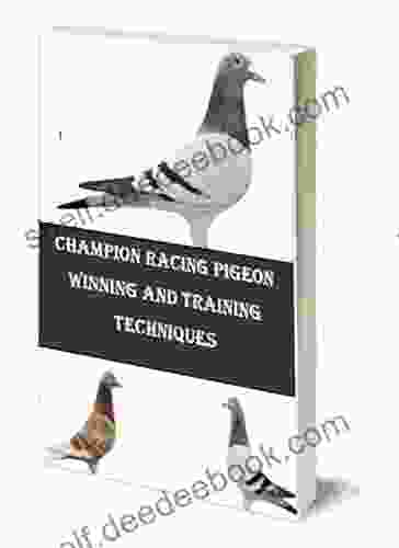 RACING PIGEON WINNING AND TRAINING TECHNIQUES: Racing Pigeon